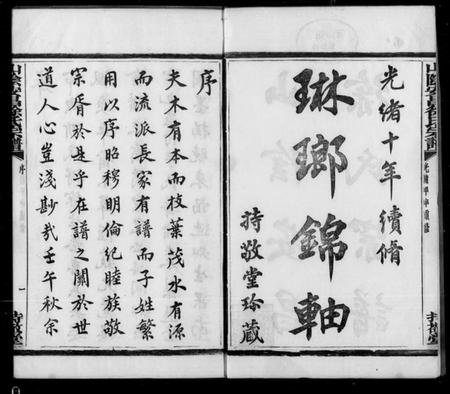 浙江徐氏族谱-山阴安昌徐氏宗谱.pdf电子版插图2