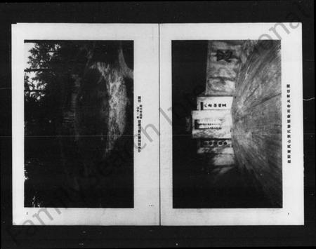 湖南贺氏族谱-中华鹅山贺氏六修族谱.pdf电子版插图4