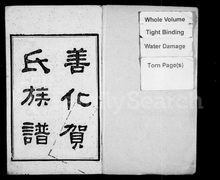 湖南贺氏族谱-善化贺氏族谱 [8卷,首末各1卷].pdf电子版插图2