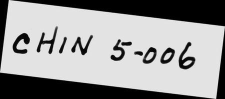 浙江胡氏族谱-山阴张川胡氏宗谱 [26卷,首1卷].pdf电子版插图2