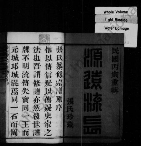 浙江张氏族谱-岳山张氏宗谱 [16卷,首1卷].pdf电子版插图3