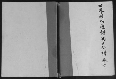 湖南胡氏族谱-世界胡氏通谱洞口分谱[3卷].pdf电子版