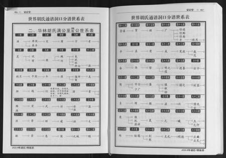 湖南胡氏族谱-世界胡氏通谱洞口分谱[3卷].pdf电子版插图4