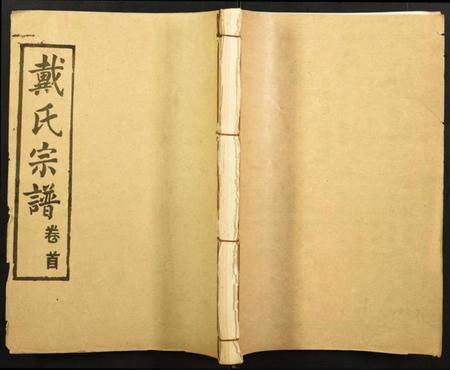 湖北戴氏族谱-戴氏宗谱.pdf电子版