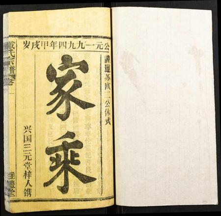 湖北戴氏族谱-戴氏宗谱.pdf电子版插图1