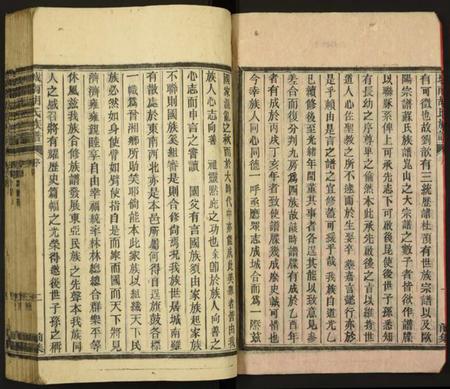 湖南胡氏族谱-城南胡氏族谱.pdf电子版插图3