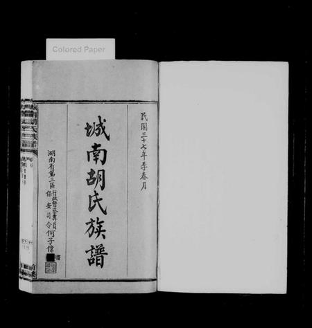 湖南胡氏族谱-城南胡氏族谱 [13卷].pdf电子版插图2