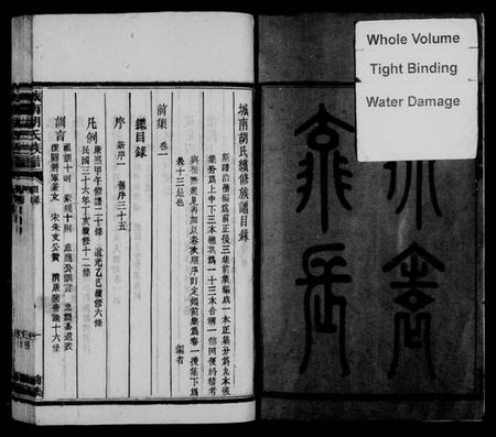 湖南胡氏族谱-城南胡氏族谱 [13卷].pdf电子版插图4