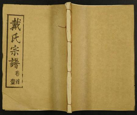 湖北戴氏族谱-戴氏宗谱.pdf电子版