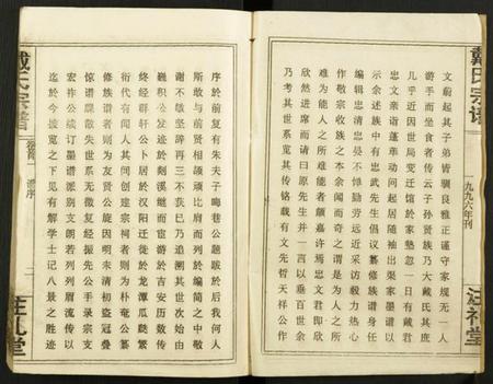 湖北戴氏族谱-戴氏宗谱.pdf电子版插图2