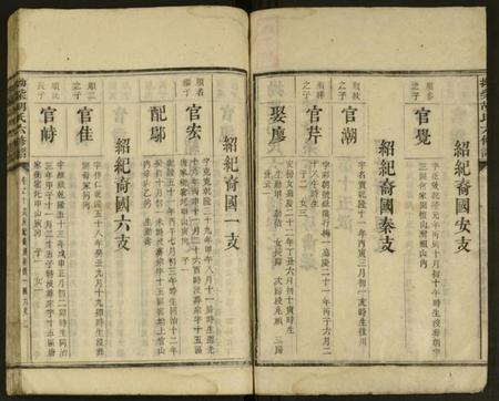 湖南胡氏族谱-拗柴胡氏六修谱 [残卷].pdf电子版插图2