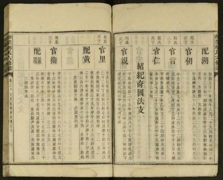 湖南胡氏族谱-拗柴胡氏六修谱 [残卷].pdf电子版插图3