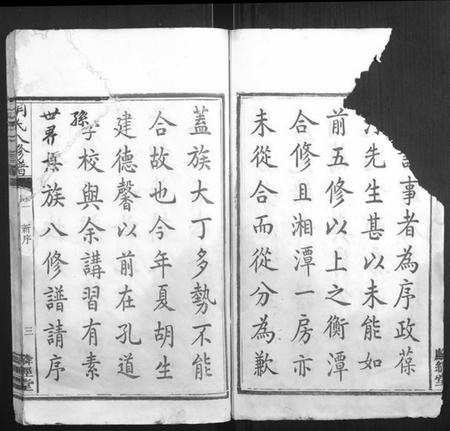 湖南胡氏族谱-胡氏八修谱[24卷].pdf电子版插图3