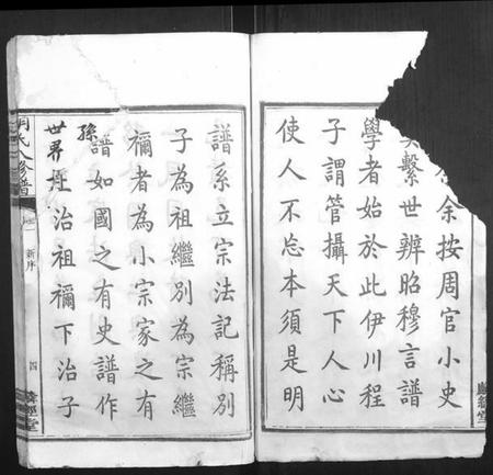 湖南胡氏族谱-胡氏八修谱[24卷].pdf电子版插图4