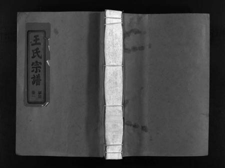 浙江王氏族谱-左原王氏宗谱 [14卷].pdf电子版插图1