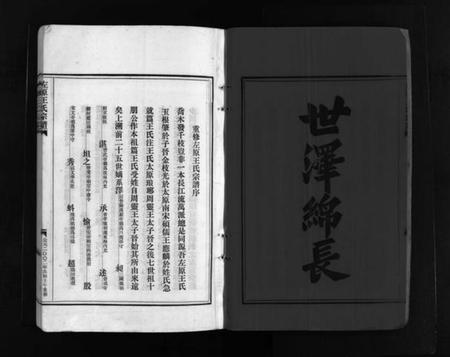 浙江王氏族谱-左原王氏宗谱 [14卷].pdf电子版插图3