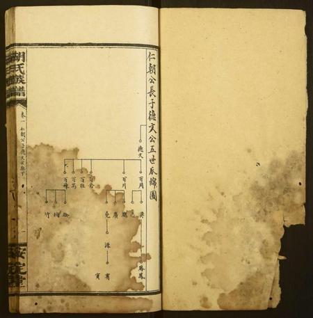 湖南胡氏族谱-胡氏族谱.pdf电子版插图1