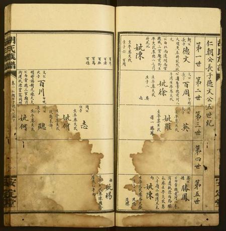 湖南胡氏族谱-胡氏族谱.pdf电子版插图2