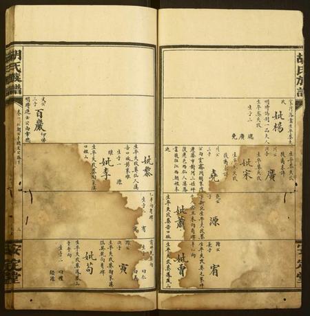 湖南胡氏族谱-胡氏族谱.pdf电子版插图3