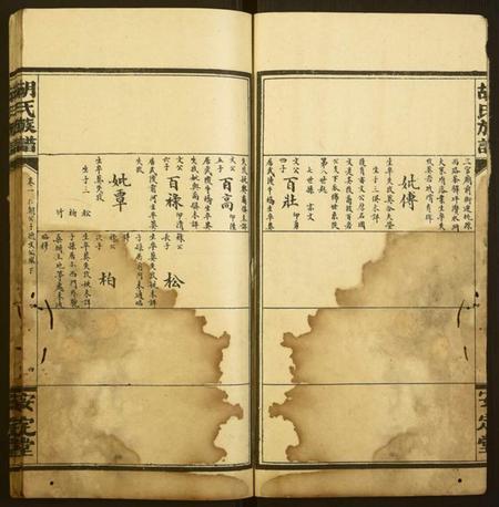 湖南胡氏族谱-胡氏族谱.pdf电子版插图4