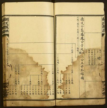 湖南胡氏族谱-胡氏族谱.pdf电子版插图5