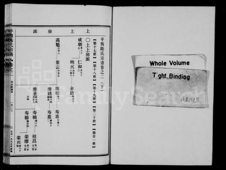 浙江陈氏族谱-平舆陈氏宗谱 [残卷].pdf电子版插图2
