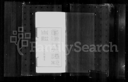 浙江汪氏族谱-平阳汪氏迁杭支谱 [4卷].pdf电子版插图3