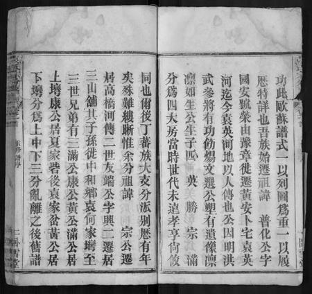 湖北袁氏族谱-袁氏宗分支谱 [8卷,首2卷].pdf电子版插图4