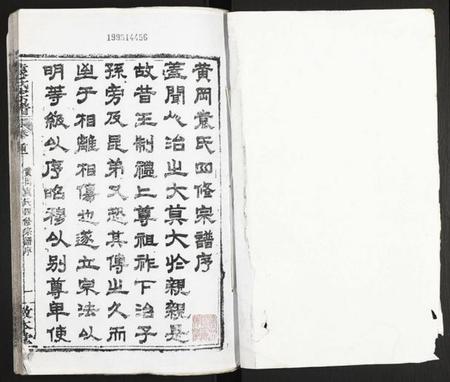 湖北袁氏族谱-袁氏宗谱.pdf电子版插图1