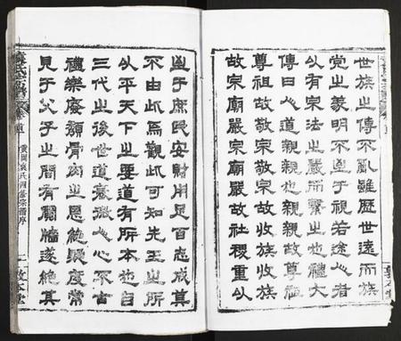 湖北袁氏族谱-袁氏宗谱.pdf电子版插图2