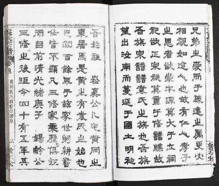 湖北袁氏族谱-袁氏宗谱.pdf电子版插图3