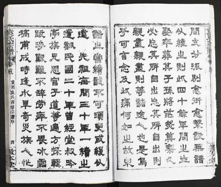 湖北袁氏族谱-袁氏宗谱.pdf电子版插图4