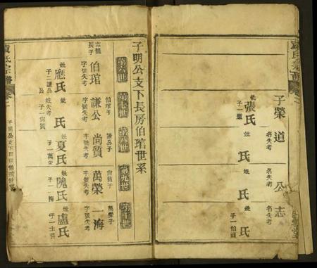 湖北袁氏族谱-袁氏宗谱.pdf电子版插图4