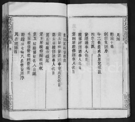 湖北袁氏族谱-袁氏宗谱 [16卷,首2卷].pdf电子版插图4