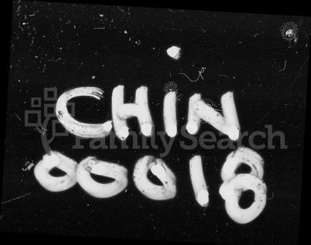 湖南胡氏族谱-贯塘胡杨七修族谱 [20卷].pdf电子版插图4