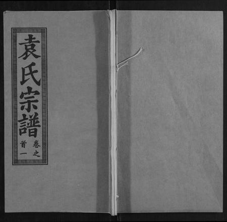 湖北袁氏族谱-袁氏宗谱[10卷,首2卷].pdf电子版