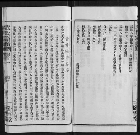 湖北袁氏族谱-袁氏宗谱[10卷,首2卷].pdf电子版插图5