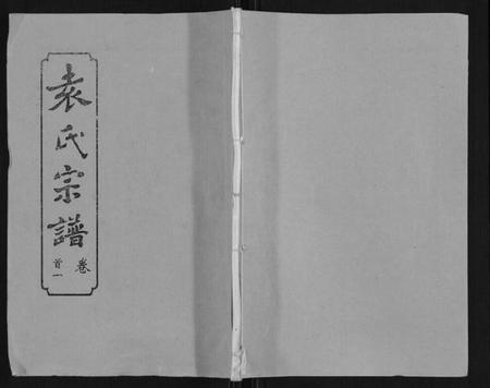 湖北袁氏族谱-袁氏宗谱[24卷首4卷首1卷].pdf电子版