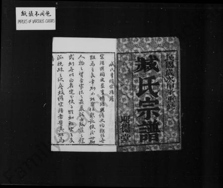 江苏臧氏族谱-臧氏宗谱 [12卷].pdf电子版插图1