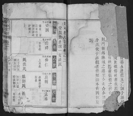 湖北詹氏族谱-詹氏宗谱.pdf电子版插图2