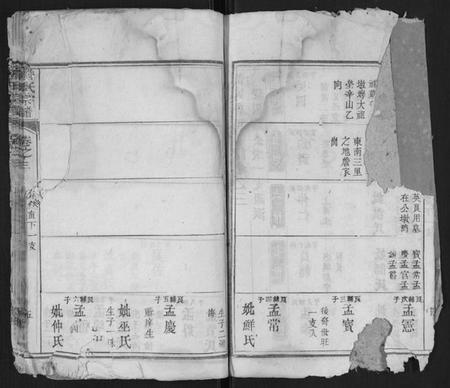 湖北詹氏族谱-詹氏宗谱.pdf电子版插图3