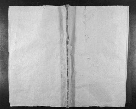 湖南胡氏族谱-金岩胡氏重修族谱[17卷首末各1卷].pdf电子版