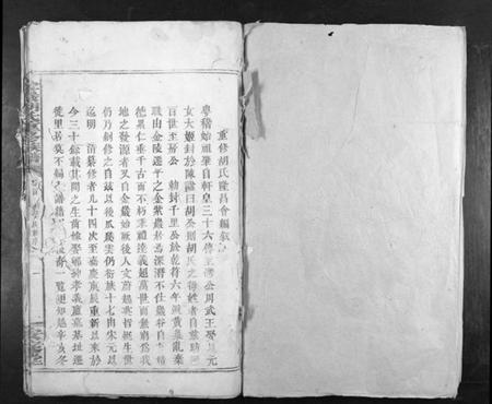 湖南胡氏族谱-金岩胡氏重修族谱[17卷首末各1卷].pdf电子版插图1