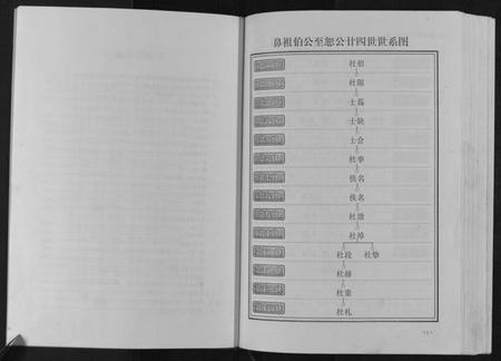 江西杜氏族谱-杜氏重修族谱[不分卷].pdf电子版插图4