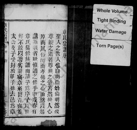 湖北章氏族谱-章氏宗谱 [12卷,首2卷].pdf电子版插图2