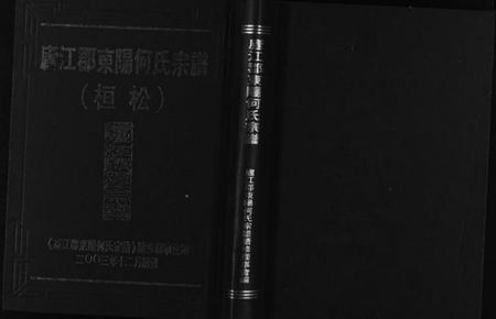 浙江何氏族谱-庐江郡东阳何氏宗谱 (桓松).pdf电子版插图1 浙江何氏族谱-庐江郡东阳何氏宗谱 (桓松).pdf电子版插图1