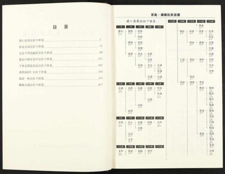 江西杜氏族谱-京兆湖尾杜氏宗谱 [人丁卷残卷].pdf电子版插图3