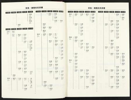 江西杜氏族谱-京兆湖尾杜氏宗谱 [人丁卷残卷].pdf电子版插图4