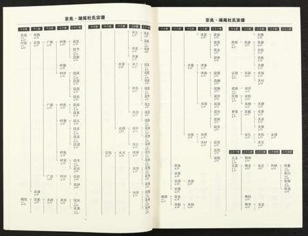 江西杜氏族谱-京兆湖尾杜氏宗谱 [人丁卷残卷].pdf电子版插图5