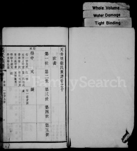 中国张氏族谱-天井里张氏族谱.pdf电子版插图 中国张氏族谱-天井里张氏族谱.pdf电子版插图